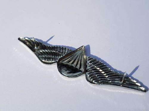 South African Parachute Free Fall Wing Chrome metal wing with enamel.