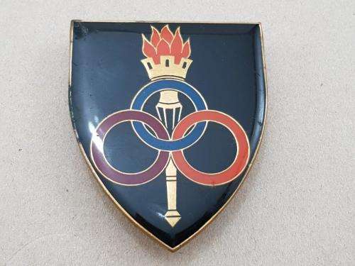 Ordnance Services School Shoulder Flash. Pins Intact.