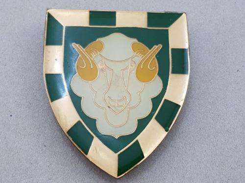 Regiment Groot Karoo Shoulder Flash. Pins Intact.
