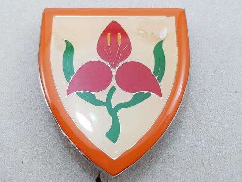 SA Military Academy Shoulder Flash. Pins Intact.