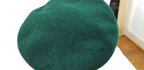 Rhodesian African Rifles Beret 57 Cm. Mothing.