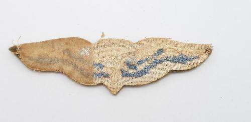 SADF First type Basic Parachute Wing in cloth.
