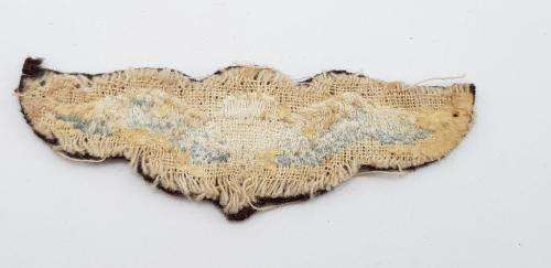 SADF First type Basic Parachute Wing in cloth.