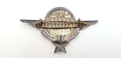 France Basic Parachute Wings. Made by Drago. Numbered Wings 60475.