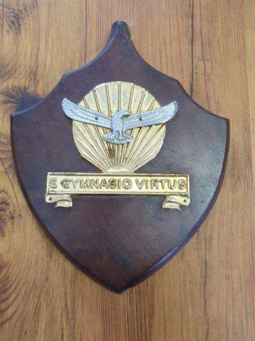 SAAF Plaque
