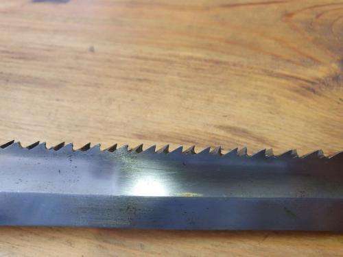 German WWI Ks98 Sawback bayonet and chest rigging.