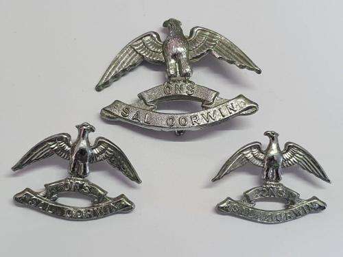 South African Regiment West Rand cap and collar badges.