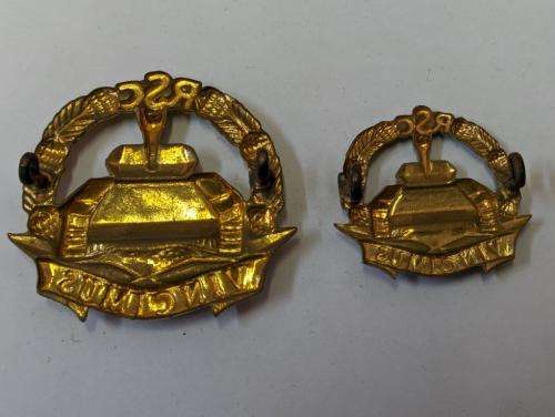 Regiment Sarel Cilliers Cap and collar Badges.