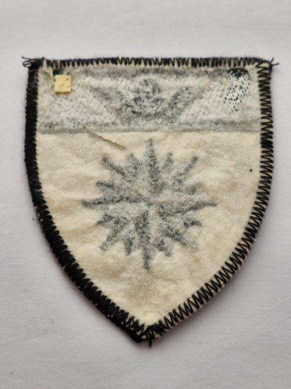 5 RECCE REGT TRACK SUIT BADGE. Selling as a copy