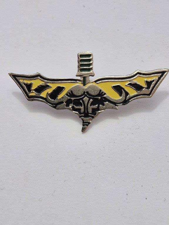 32 BATTALION RECCE WING - METAL - 2 PINS - Selling as a Copy