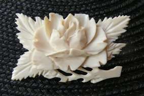 GENUINE IVORY BROOCHE,HANDCARVED