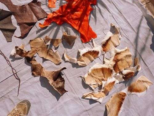 GENUINE FUR AND LEATHER, OSTRICH, SPRINGBOK ETC.  FOR CRAFTING AND ART