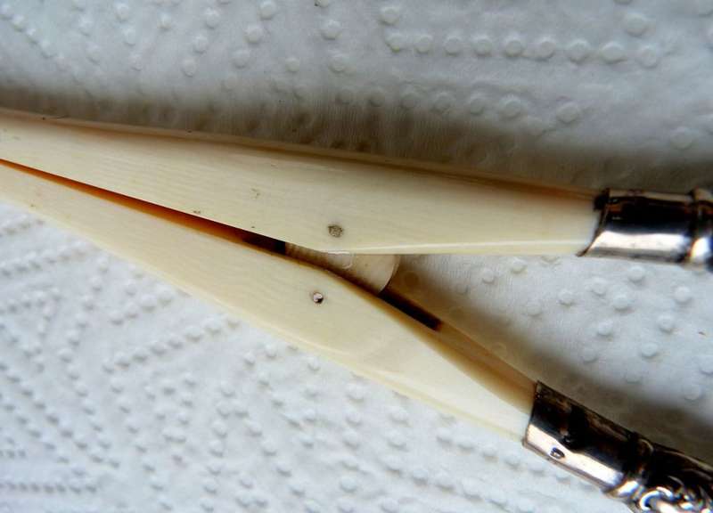 ANTIQUE ORNATE ca 1900 GLOVESTRETCHER.  BONE AND STERLING SILVER