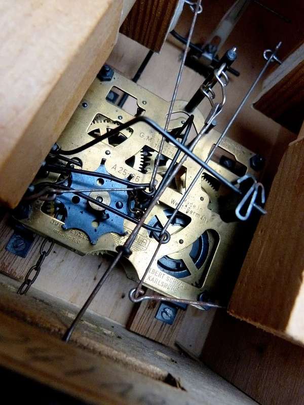 RARE DESIGN. CUCKOO CLOCK / GOAT HEAD MOVING together with bird.