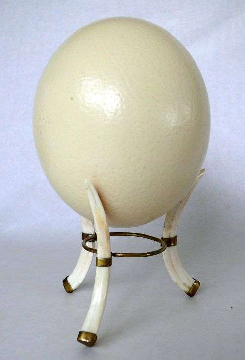 BONE/BRASS  EGG STAND WITH OSTRICH EGG