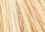 Light Blonde Toppik