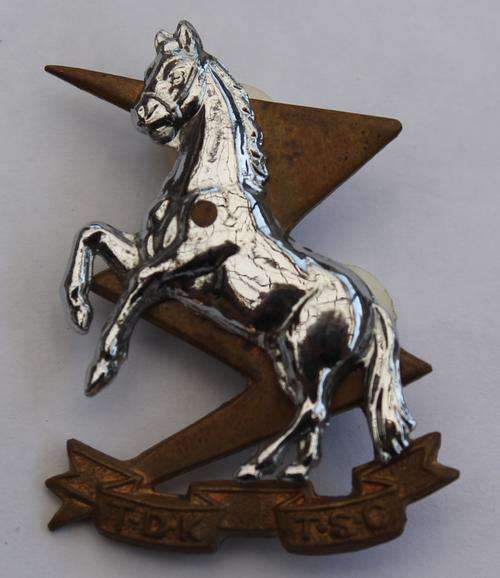 SA Technical Service Corps Beret Badge