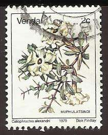 1979 VENDA FLOWER