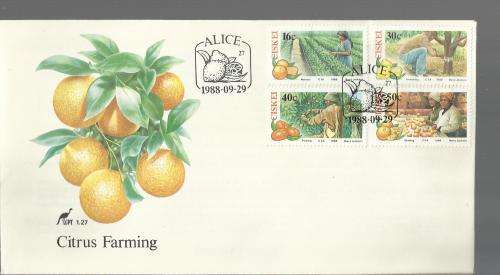 1988 CISKEI CITRUS FARMING