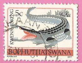 1977 BOPHUTHATSWANA TRIBAL TOTEM