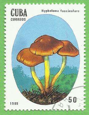 1988 CUBA MUSHROOM