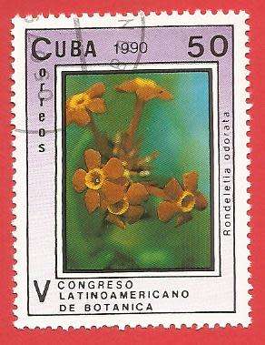 1990 CUBA PLANT