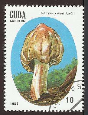 1988 CUBA MUSHROOM