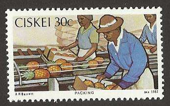 1982 CISKEI PINEAPPLE INDUSTRY