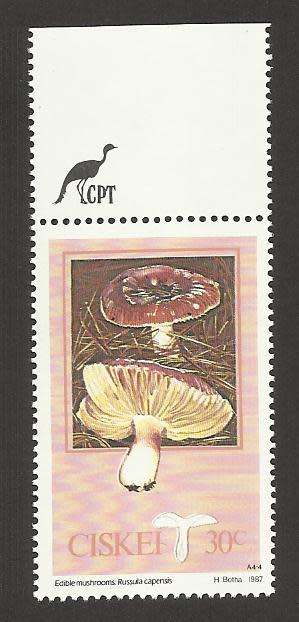 1987 CISKEI MUSHROOM