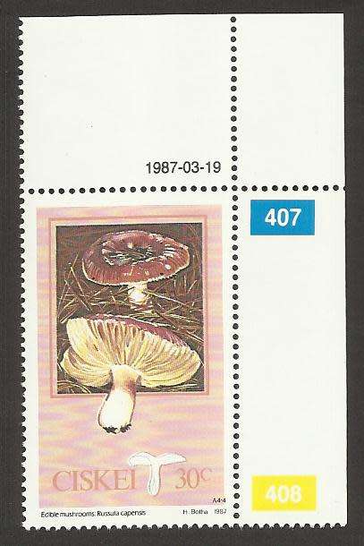 1987 CISKEI MUSHROOM