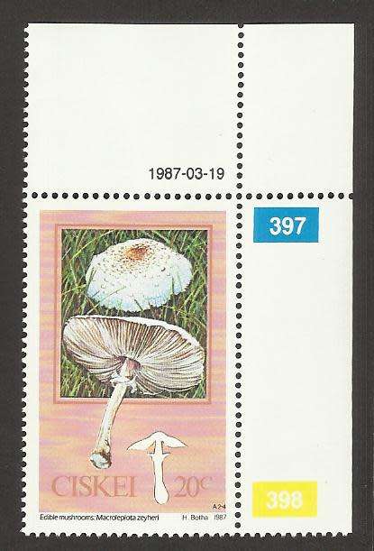 1987 CISKEI MUSHROOM