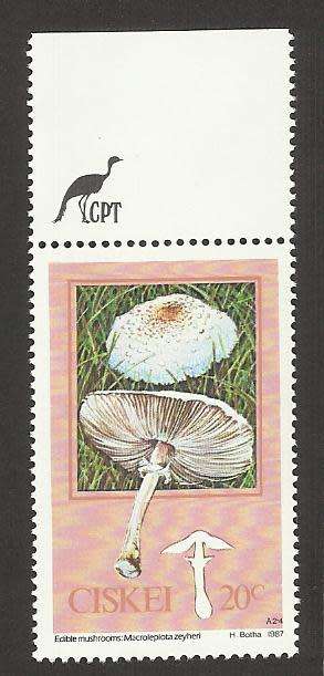 1987 CISKEI MUSHROOM