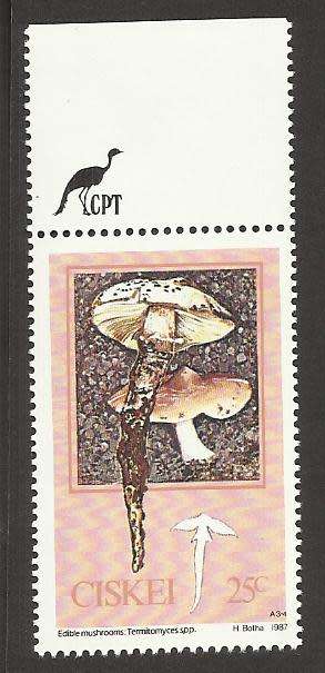 1987 CISKEI MUSHROOM
