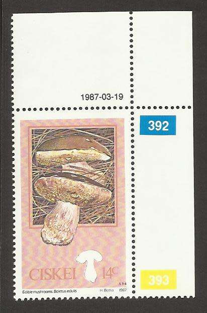 1987 CISKEI MUSHROOM