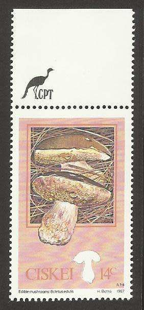 1987 CISKEI MUSHROOM