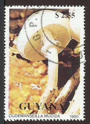 1990 GUYANA FUNGI