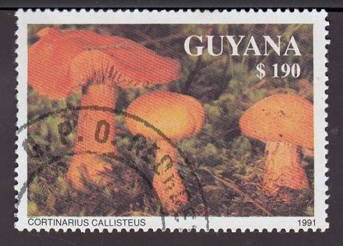 1991 GUYANA MUSHROOM