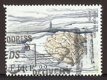 1982 IRELAND OYSTER
