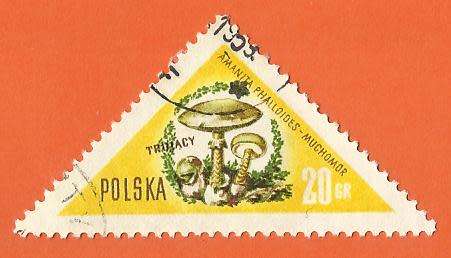 1959 POLAND MUSHROOM