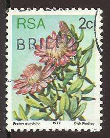 1977 SOUTH AFRICA FLORA, PROTEA PLANTS