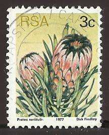 1977 SOUTH AFRICA FLORA, PROTEA PLANTS