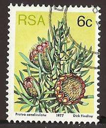 1977 SOUTH AFRICA FLORA, PROTEA PLANTS