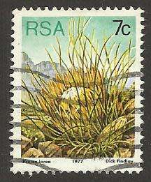1977 SOUTH AFRICA FLORA, PROTEA PLANTS