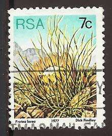 1977 SOUTH AFRICA FLORA, PROTEA PLANTS