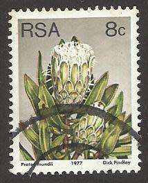 1977 SOUTH AFRICA FLORA, PROTEA PLANTS