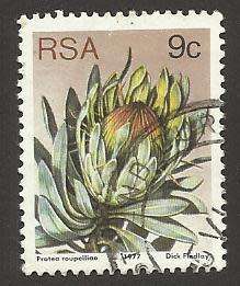 1977 SOUTH AFRICA FLORA, PROTEA PLANTS