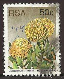 1977 SOUTH AFRICA FLORA, PROTEA PLANTS