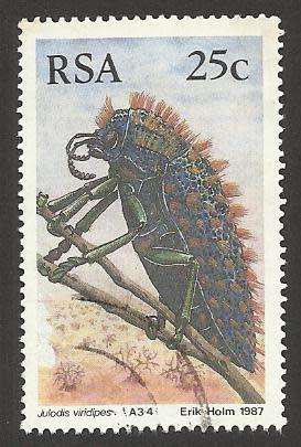 1987 SOUTH AFRICA BEETLES