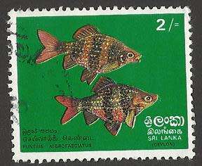 1972 SRI LANKA ANIMAL FISH