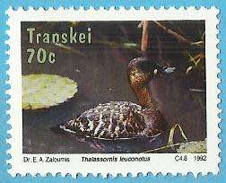 1992 TRANSKEI ANIMAL BIRD